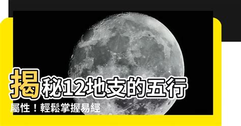 十二地支屬性|【十二屬性】十二生肖與地支五行屬性全攻略，一文搞懂你的本命。